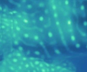 6e0b446b-b259-434a-b420-31a0829cead1