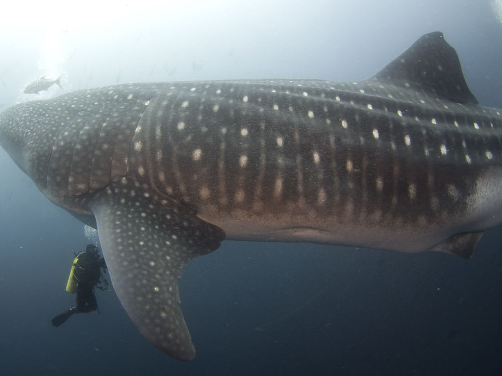 38b4756a-897f-448a-ba5c-5331cb96cd8d