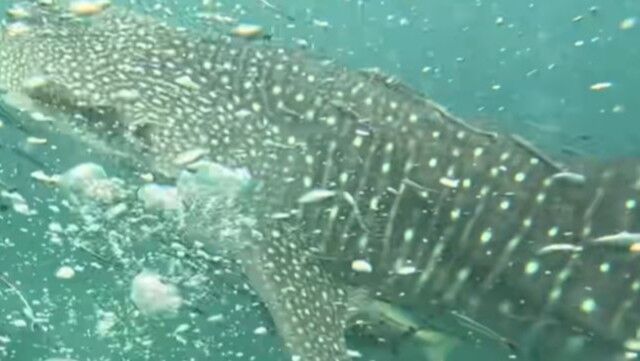 1af83add-5cef-401c-88ec-e9582679f7de