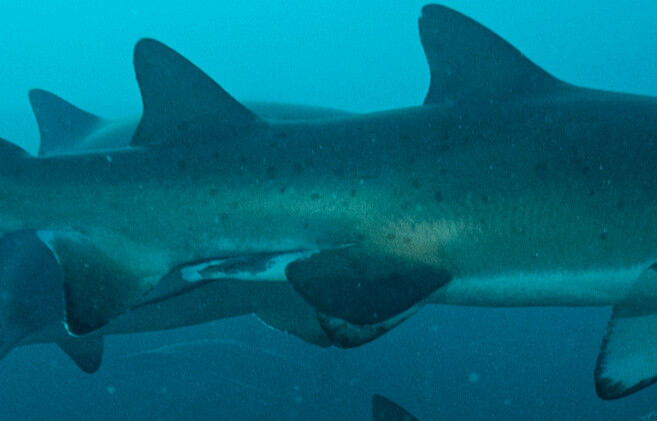 85cc9d1f-1e08-4925-a826-1fce5648725f