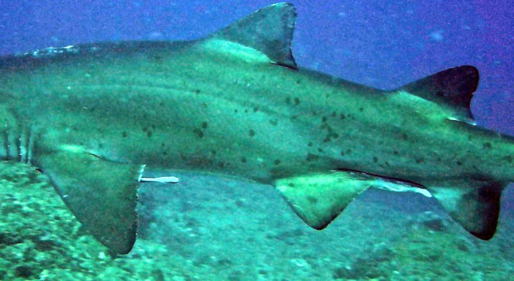 5e088635-bdc1-4b5e-a7f9-50edaa3ccbb3