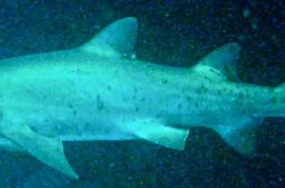 e838d366-e471-4904-9e12-40994ba7a05c