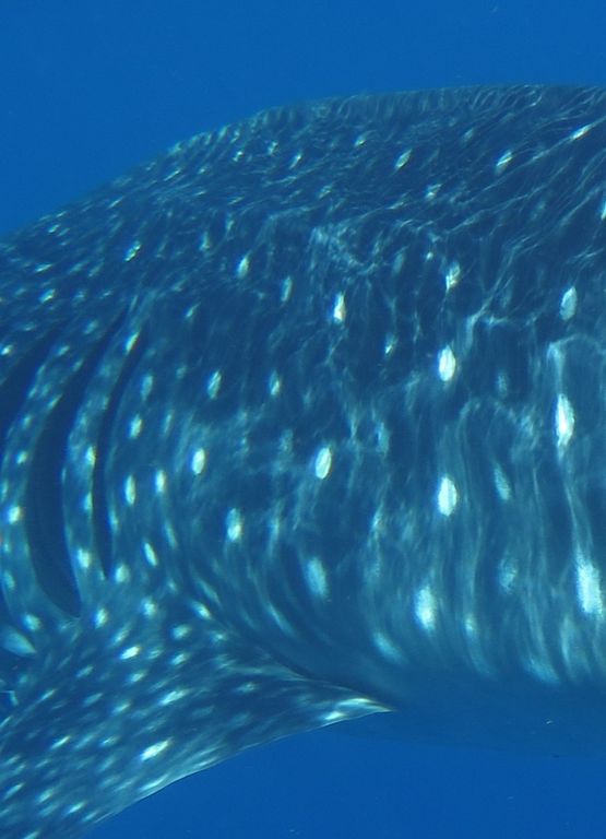 10b9e271-d7ac-441d-b559-05777d1b85ae