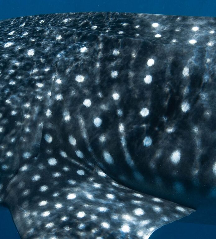 3c3de95f-12f3-4a52-9f17-311fc4404e9c