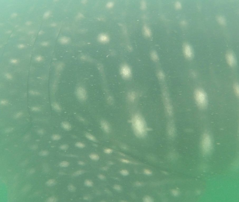 4c1ddef8-974c-4966-a042-5c58d502f50f