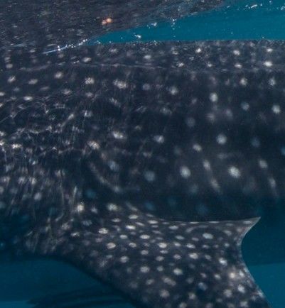 ef7b16a9-7387-4fd3-92de-b1733c4c104c