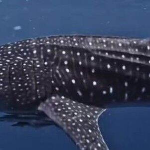 cadbad2e-9979-42b5-97b8-e2e2250b935b