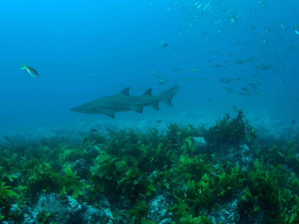 9cf401f4-1b7e-4f34-b5c5-039e087ebed0