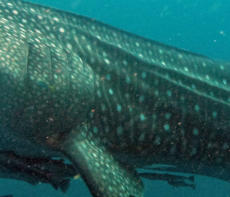 84b91658-b09e-4fc1-8cdd-ae9f0fa12724