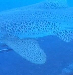 c4be4ea4-384f-4f34-beaf-9df2a7e94e1e