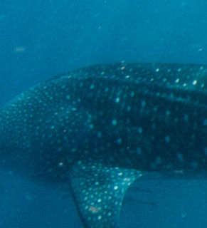 51260148-7919-49e4-96e7-ae35dabc2b25