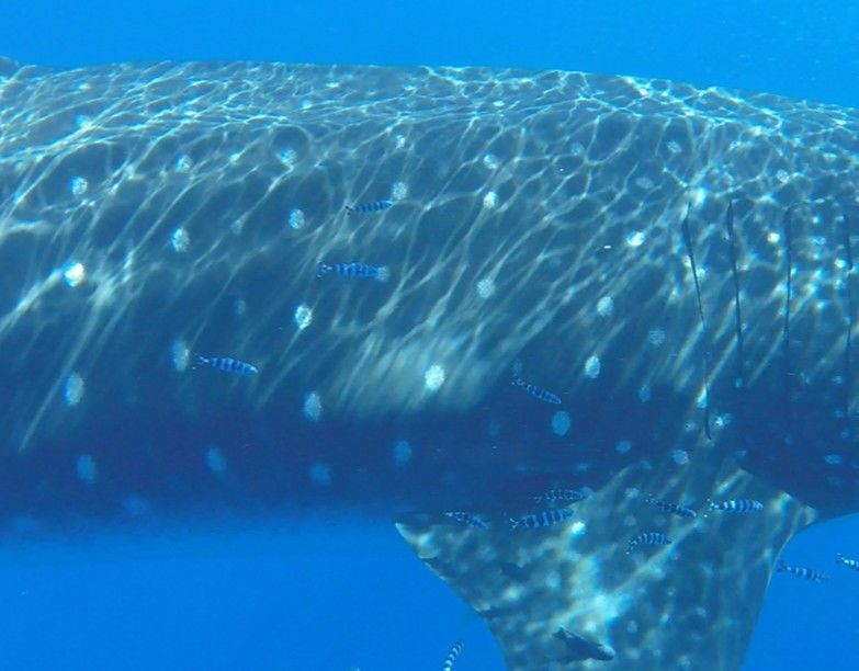 f3f1128b-1dfd-46fd-a536-c32db1c388c7