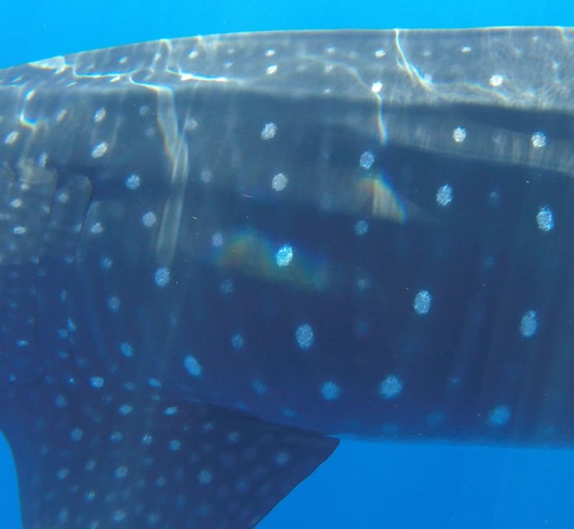 f3f1128b-1dfd-46fd-a536-c32db1c388c7