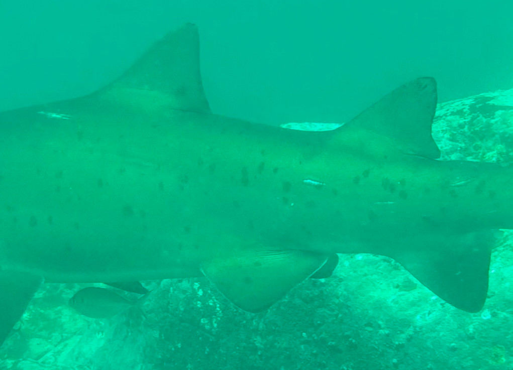 f3ce96e5-c783-4b47-8694-967fb9deb131