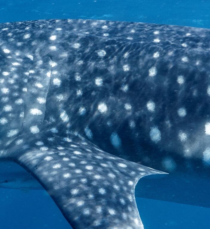 952fc823-6de4-46a2-a1b7-90334bd733c2