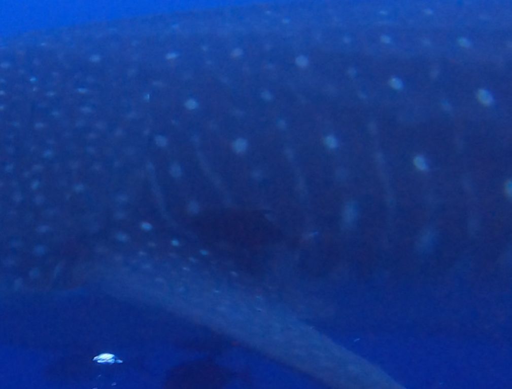 20fd8385-faca-4f96-a5db-ed459df3ccb0