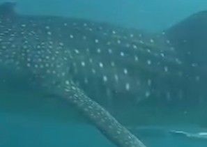 32346251-f83f-495e-8842-9d952d9f1bc6