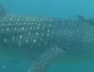 32346251-f83f-495e-8842-9d952d9f1bc6