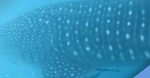 18faf15f-2fe9-49ec-8fa2-d2c871a799cf