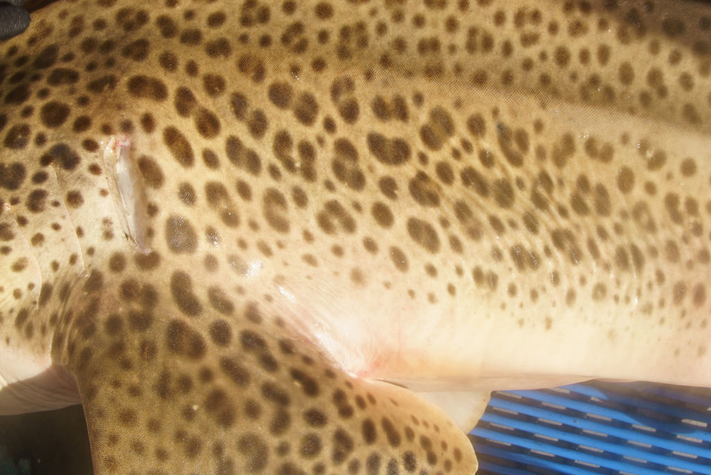 b35da0e8-7f33-44d3-9049-fb5569f3badb