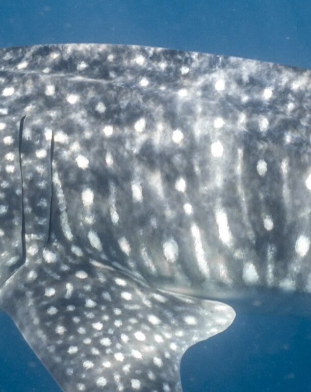 9b79479d-f5a5-4c70-badc-c3bf90b19003