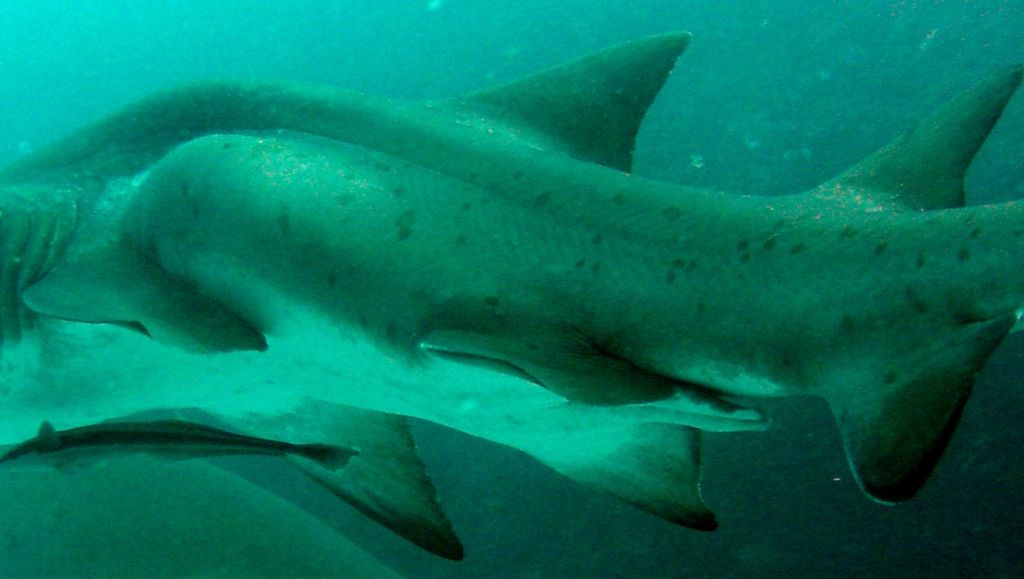 d8d5cde1-3862-4f6d-a65d-5f73d8de1edd