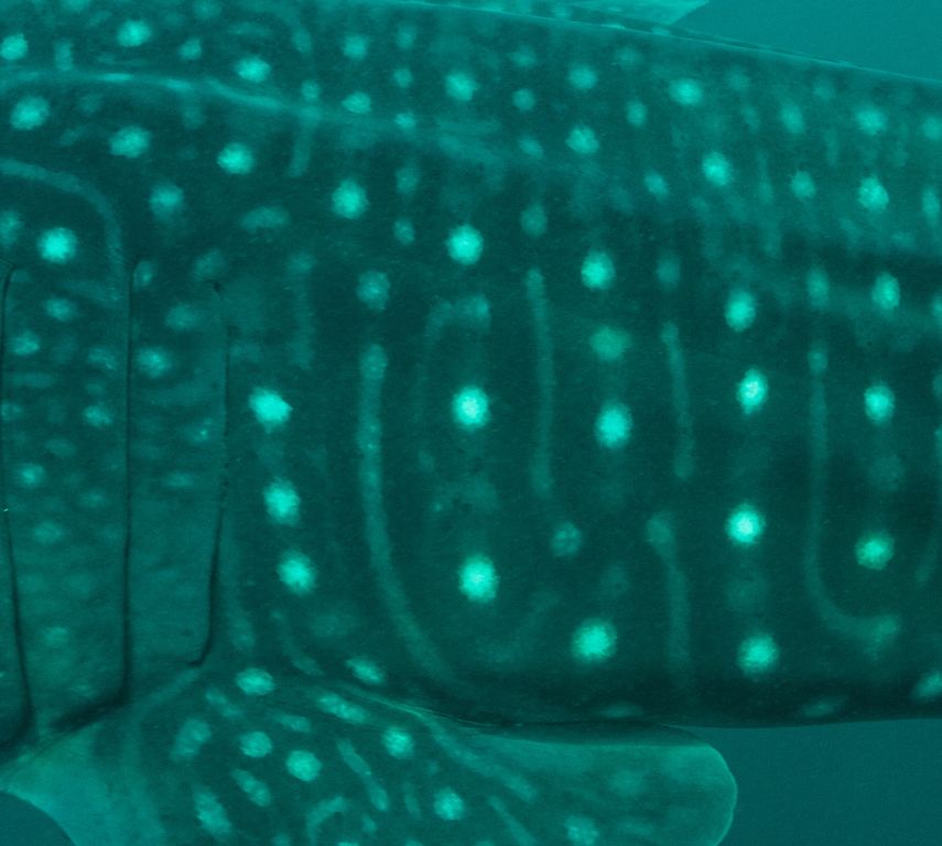 8205656b-9e67-47a9-98e4-492a59f561b9