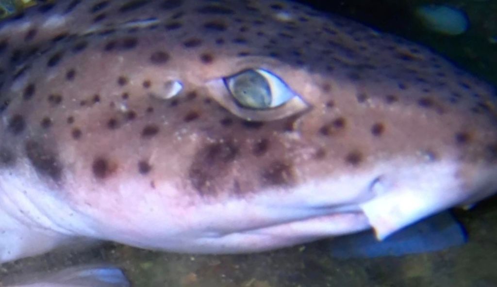 a12f24b8-5a50-4817-b25e-58ce85600c37