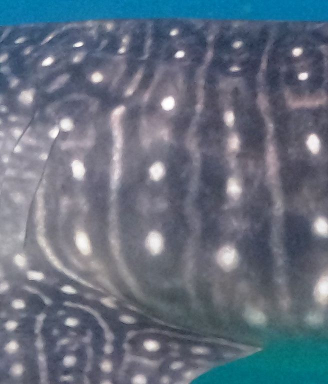 a5dd4cd0-1e8d-49f4-93a2-ab75d076a770