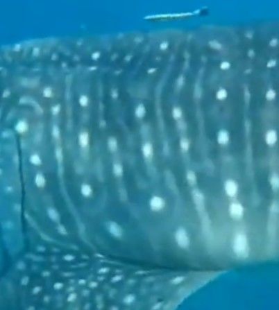 a97536b5-b050-4d72-9cec-eb42952c520b