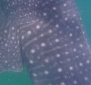 de534ddb-ba67-4d33-b270-b91579f8c24e