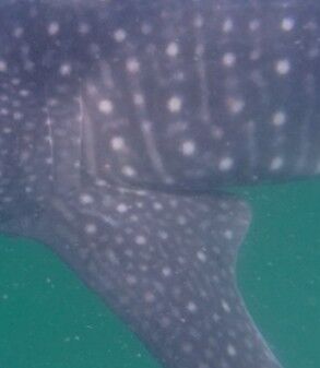 de534ddb-ba67-4d33-b270-b91579f8c24e