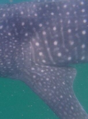 de534ddb-ba67-4d33-b270-b91579f8c24e