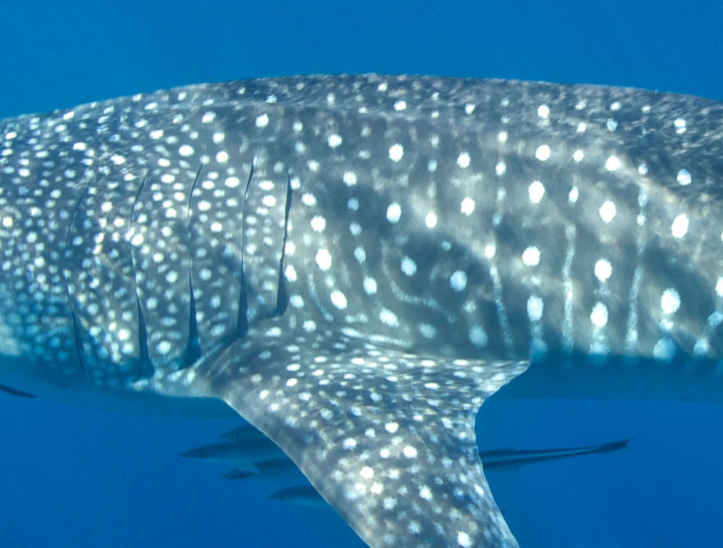 05b805ca-2e30-49cb-8911-825afafbac9b