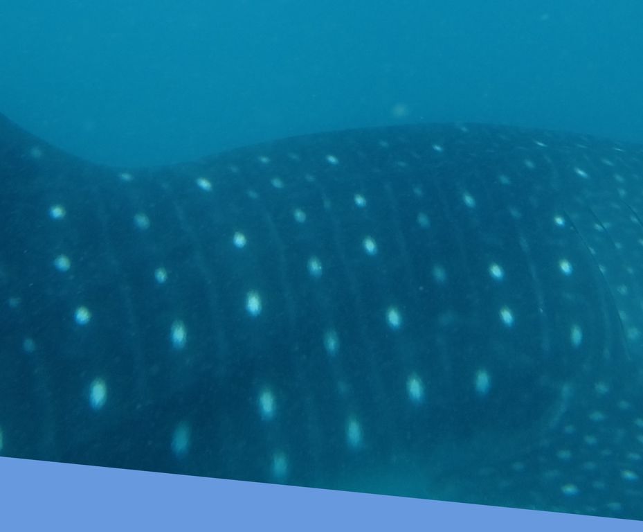 050507c4-bf75-4cb0-88b1-1cd6d8079cce