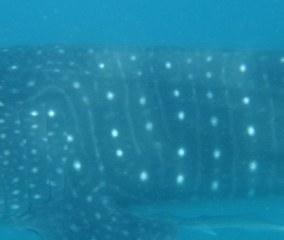 050507c4-bf75-4cb0-88b1-1cd6d8079cce