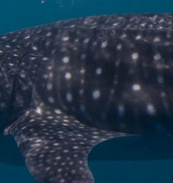 69ab9c61-7cac-4b30-973e-e781a16e1d9a