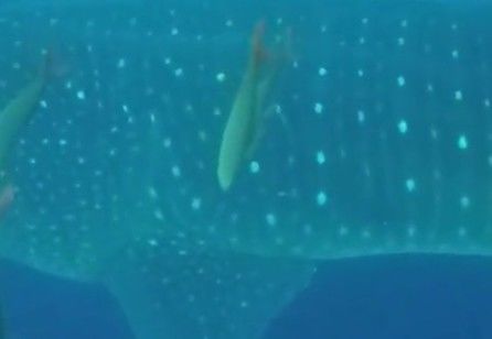 d0d4a2a1-59e6-4b7d-b085-206b7e587827