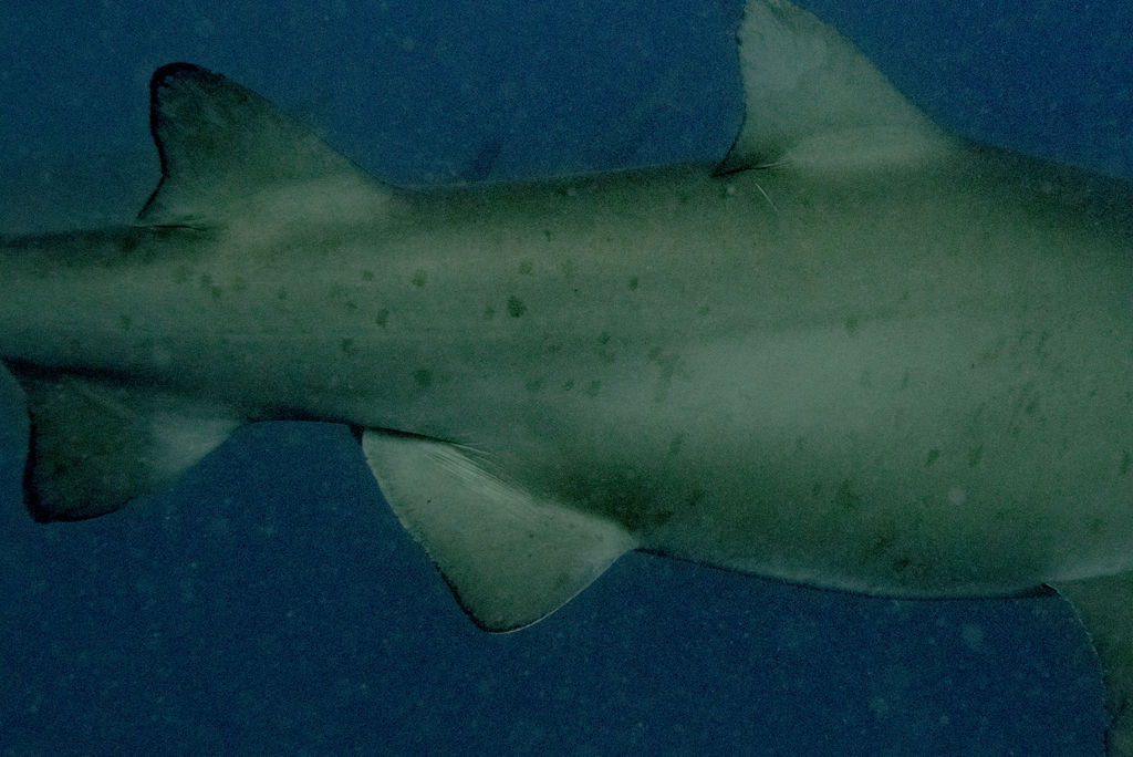 da730efc-1416-4573-b5cf-85b594ef877a