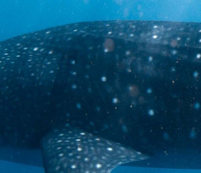 b9b919dd-3361-414c-b804-cf6df54c5012