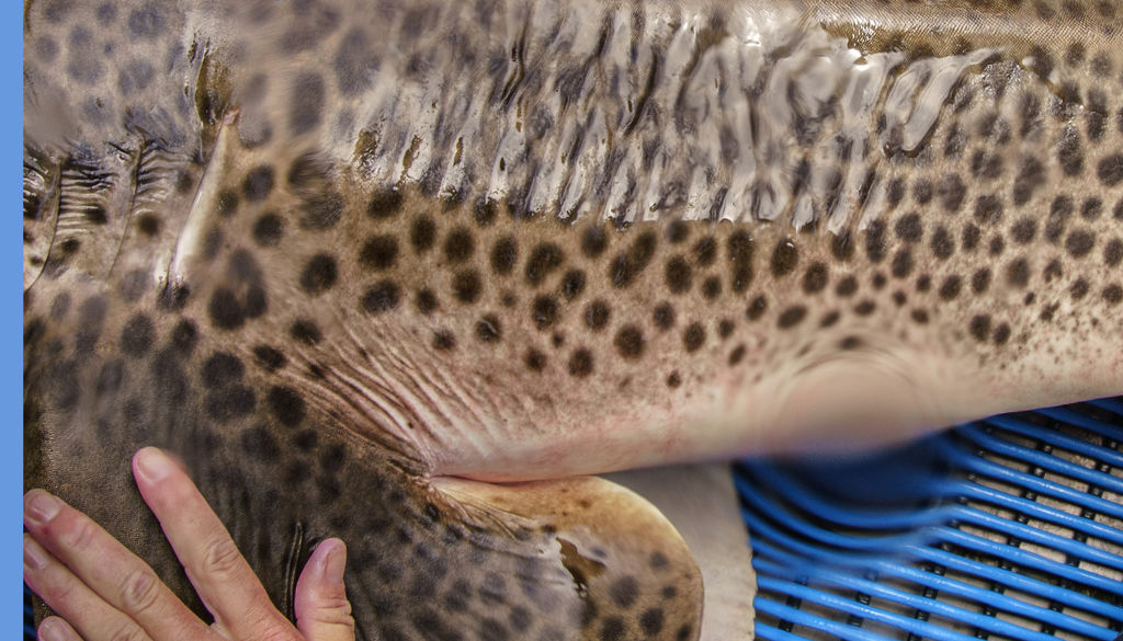 92015bd7-b8d5-41ce-9bb5-e73c214db1eb