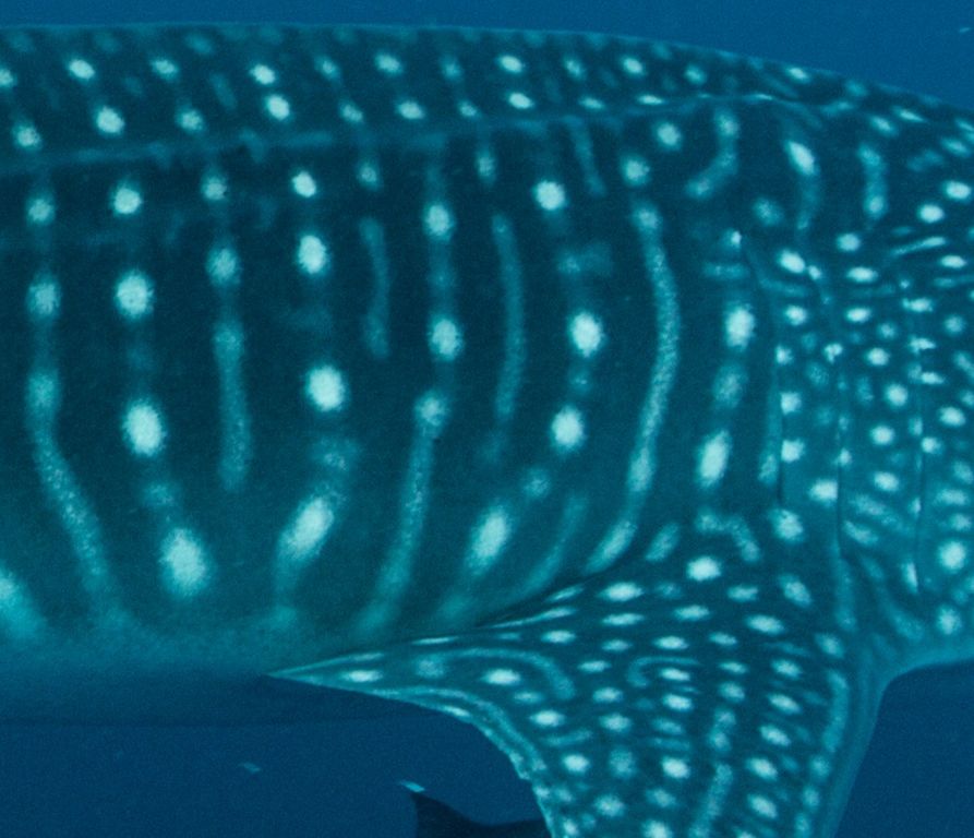 d50fb32e-275f-47d8-b596-40ee30eaa0ef