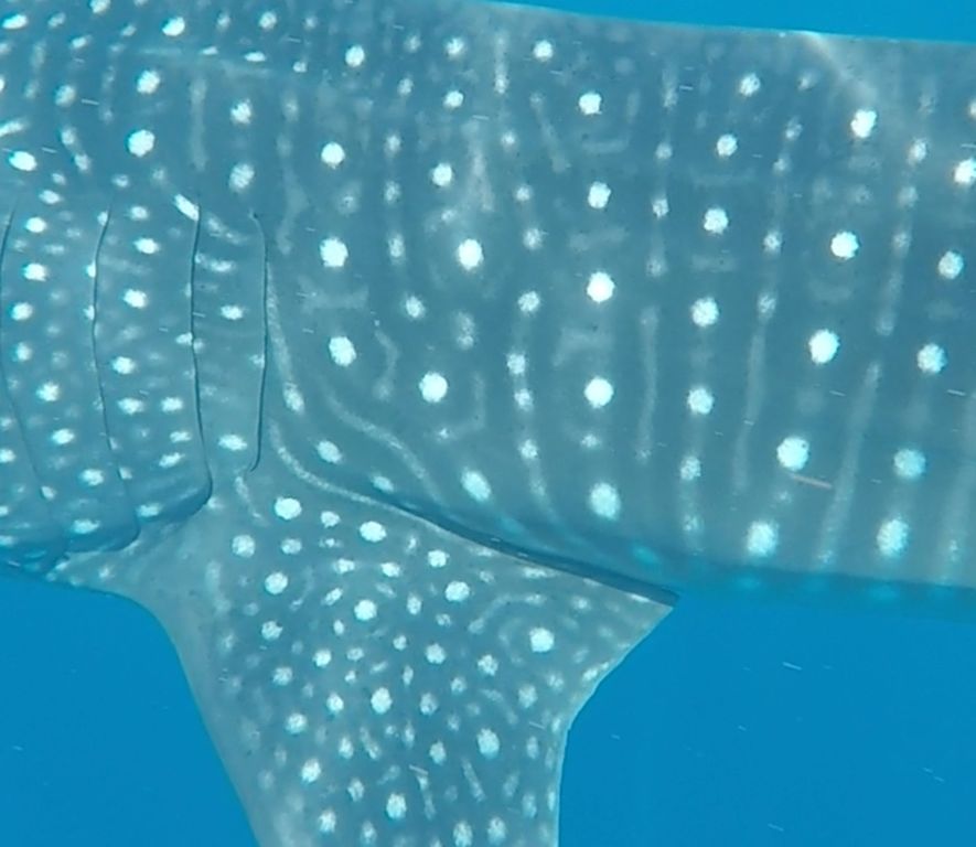 d588ac65-7242-487d-a2ce-0ecac52945a9