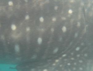 d5e220cc-3032-455d-b4e4-fd30d26bd1c8