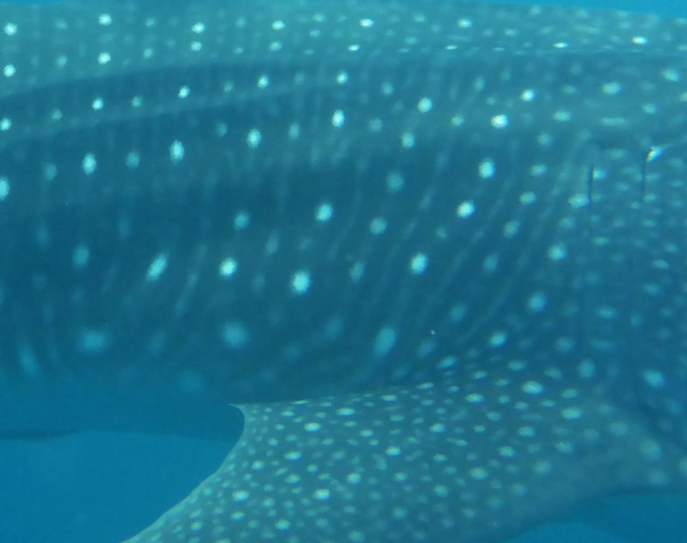 0b275e05-5938-4156-b4a7-e7924989e7ea