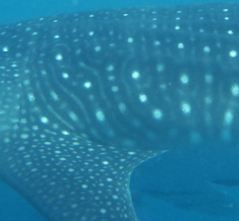 0b275e05-5938-4156-b4a7-e7924989e7ea