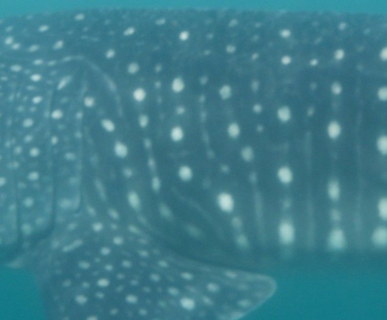 80937ce1-5ed2-47e2-bbaa-d9b4eb9a0ff5