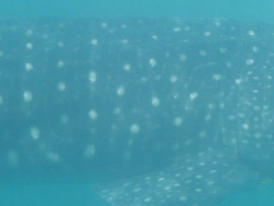 80937ce1-5ed2-47e2-bbaa-d9b4eb9a0ff5