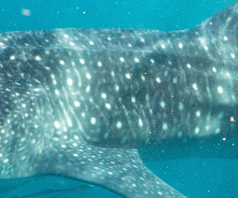 cd520159-4a61-4afb-8565-470bb6b06c5f