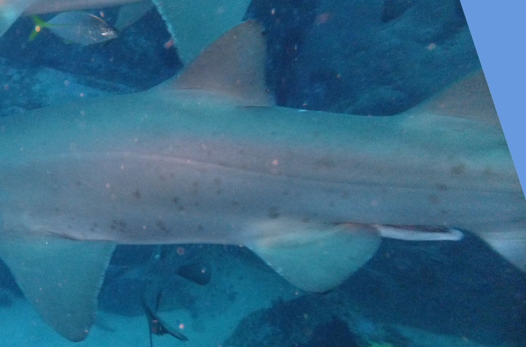 551b26ca-65ec-4591-8d30-de03d23c7f7d